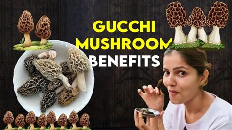 gucchi mushroom benefits.